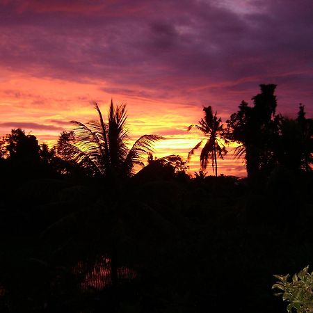 Kun - Kun Guest House Ubud Экстерьер фото