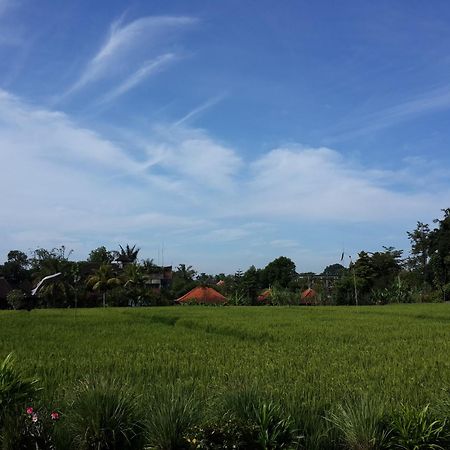 Kun - Kun Guest House Ubud Экстерьер фото