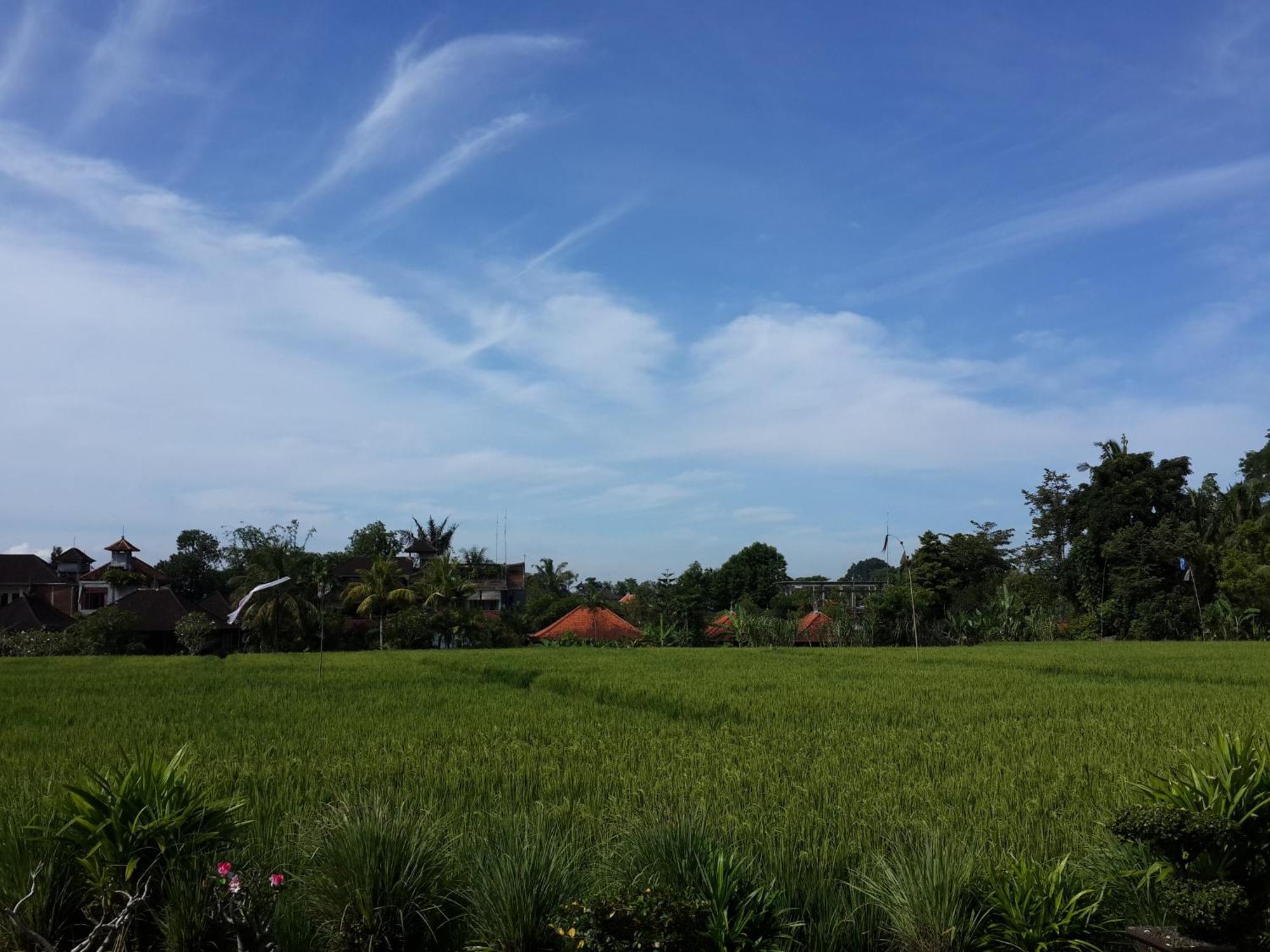 Kun - Kun Guest House Ubud Экстерьер фото